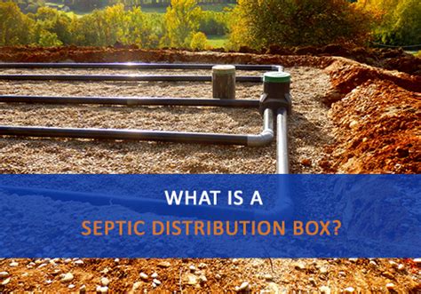 locating distribution box septic|septic distribution box location.